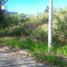  Terreno (Parcela) en venta en Liloan, Central Visayas, Liloan