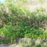  Terreno (Parcela) en venta en Liloan, Central Visayas, Liloan