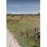  Land for sale in Omitlan De Juarez, Hidalgo, Omitlan De Juarez