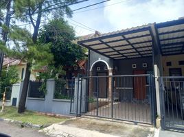  House for rent in Serpong, Tangerang, Serpong