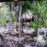  Grundstück zu verkaufen in Othon P Blanco, Quintana Roo, Othon P Blanco