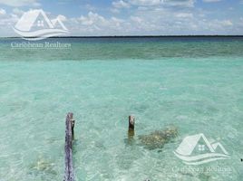  Grundstück zu verkaufen in Othon P Blanco, Quintana Roo, Othon P Blanco