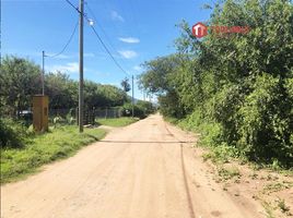  Land for sale in Junin, San Luis, Junin