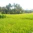  Terrain for sale in Blahbatu, Gianyar, Blahbatu