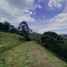  Terreno (Parcela) en venta en Guarne, Antioquia, Guarne