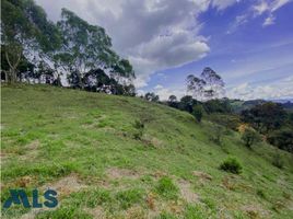  Terreno (Parcela) en venta en Guarne, Antioquia, Guarne