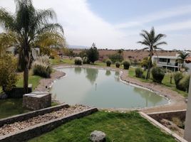  Grundstück zu verkaufen in Allende, Guanajuato, Allende