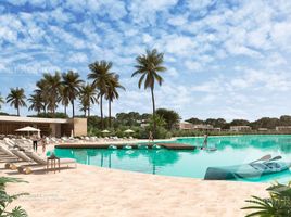  Grundstück zu verkaufen in Cozumel, Quintana Roo, Cozumel