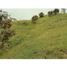 Terrain à vendre à Rionegro, Antioquia, Rionegro