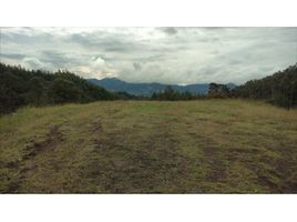 Terrain à vendre à Rionegro, Antioquia, Rionegro