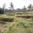  Land for sale in Tegallalang Rice Terrace, Tegallalang, Tegallalang