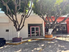 85.15 m² Office for rent in Chiapas, Tuxtla Gutierrez, Chiapas