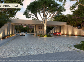  Terreno (Parcela) en venta en Conkal, Yucatán, Conkal