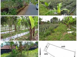  Land for sale in Bangli, Bali, Bangli, Bangli