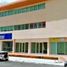 0 平米 Office for rent in Campeche, Campeche, Campeche