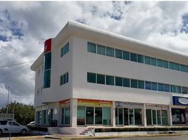 0 平米 Office for rent in Campeche, Campeche, Campeche
