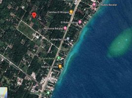  Grundstück zu verkaufen in Othon P Blanco, Quintana Roo, Othon P Blanco