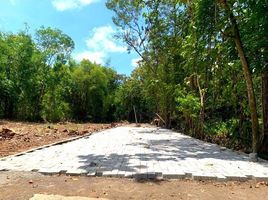  Tanah for sale in Pengasih, Kulon Progo, Pengasih