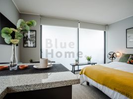 1 Bedroom Apartment for rent in Chile, Santiago, Santiago, Santiago, Chile