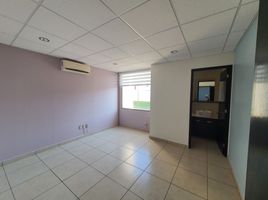 20 m² Office for rent in Morelos, Cuernavaca, Morelos