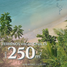  Land for sale in Dzemul, Yucatan, Dzemul