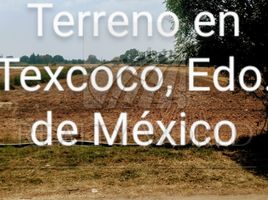  Land for sale in Atenco, Mexico, Atenco