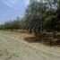  Land for sale in Cienega De Flores, Nuevo Leon, Cienega De Flores