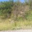  Land for sale in Juarez, Nuevo Leon, Juarez