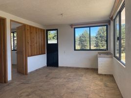 2 Schlafzimmer Wohnung zu vermieten in Valle De Bravo, Mexico, Valle De Bravo, Mexico