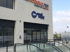 356 m² Office for rent in Baja California, Tijuana, Baja California