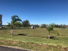  Land for sale in La Plata, Buenos Aires, La Plata