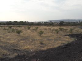 Terrain à vendre à Apaseo El Grande, Guanajuato, Apaseo El Grande
