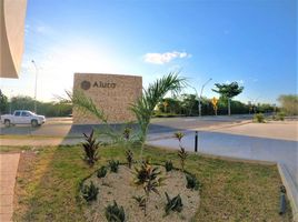  Grundstück zu verkaufen in Conkal, Yucatan, Conkal