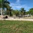  Grundstück zu verkaufen in Conkal, Yucatan, Conkal