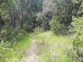  Land for sale in Rio Negro, Bariloche, Rio Negro