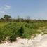  Terreno (Parcela) en venta en Merida, Yucatán, Merida