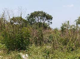  Terreno (Parcela) en venta en Merida, Yucatán, Merida