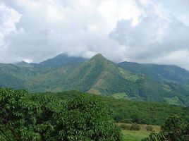  Terrain for sale in Anapoima, Cundinamarca, Anapoima