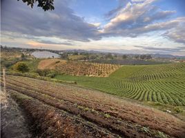  Terreno (Parcela) en venta en Marinilla, Antioquia, Marinilla