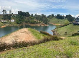  Grundstück zu verkaufen in Penol, Antioquia, Penol