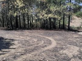  Land for sale in Amealco De Bonfin, Queretaro, Amealco De Bonfin