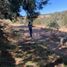  Land for sale in Amealco De Bonfin, Queretaro, Amealco De Bonfin