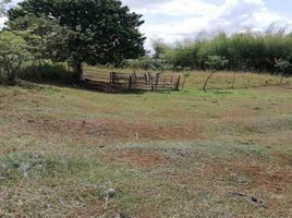 Terrain à vendre à Pereira, Risaralda, Pereira, Risaralda