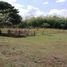 Terrain à vendre à Pereira, Risaralda, Pereira, Risaralda