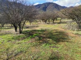 Terreno (Parcela) en venta en Melipilla, Santiago, Curacavi, Melipilla