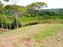  Land for sale in Cali, Valle Del Cauca, Cali