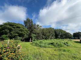  Terreno (Parcela) en venta en Calamuchita, Cordobá, Calamuchita