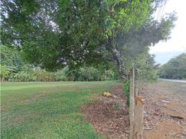  Terrain for sale in Dolega, Chiriqui, Tinajas, Dolega