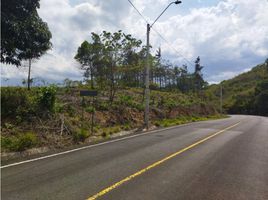  Terreno (Parcela) en venta en Coclé, Pajonal, Penonomé, Coclé