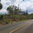 Land for sale in Pajonal, Cocle, Pajonal